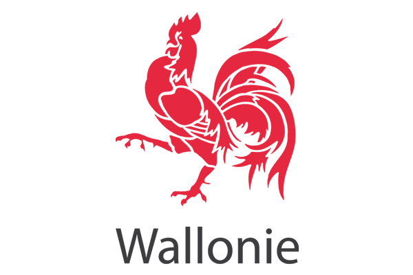 Site officiel de la Wallonie (nouvel onglet)
