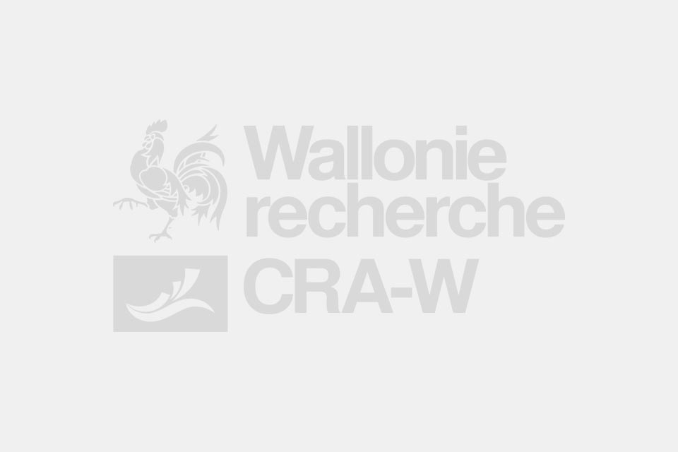 The size of larval populations of the saddle gall midge (Haplodiplosis marginata von Roser = H. equestris Wagner, Diptera, Cecidomyiidea) in wheat fields in the main cereal-growing areas of southern Belgium in 1970 and 1971