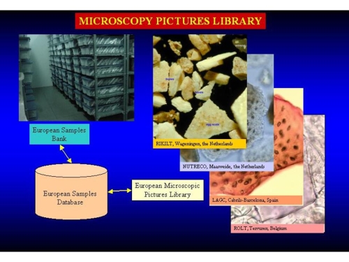 Samples bank and microscopy pictures library