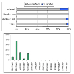 Willerzie 2003 ; Proportions de T. domesticum et de T. signatum  sur arbres debout, bois gisant et dans les pièges - Libin 2001 : Nombres de galeries de Trypodendrons creusées par 4 m de grume entre mars et mai 2001, en fonction de la date d’abattage
