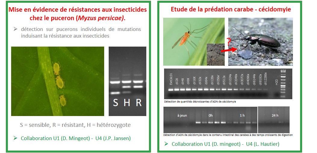 fiche objectifs img 14890 2018 01 22 ima3