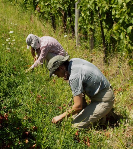 Nous recherchons des initiatives agroécologiques