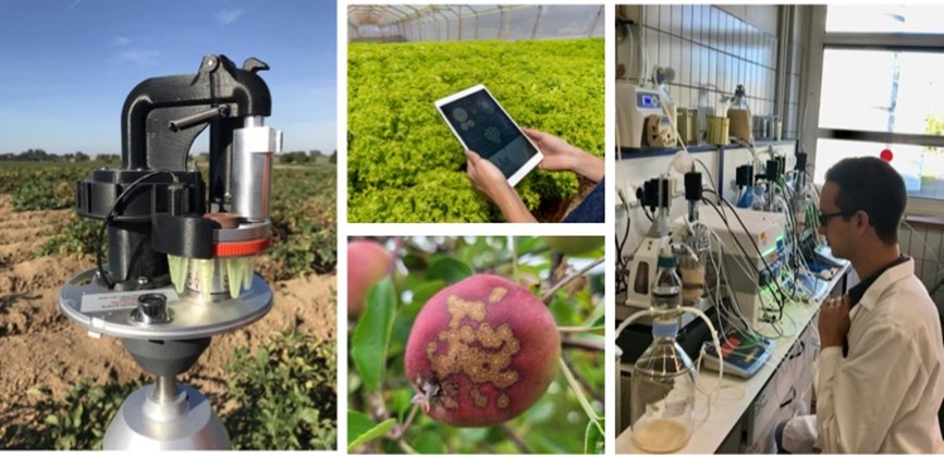 Innover dans les alternatives aux pesticides en France et en Belgique avec l'aide du numérique