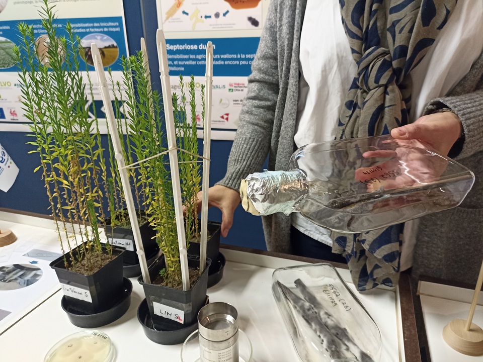 biocontrol2
