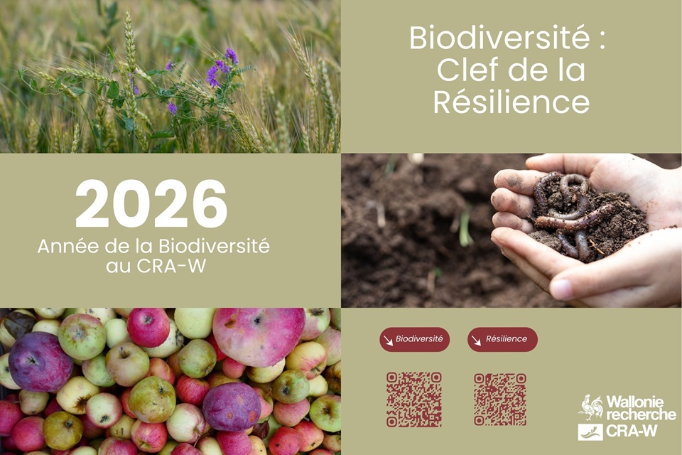 Biodiversité : clef de la Résilience